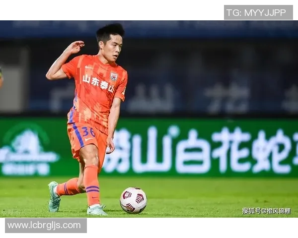 深圳篮球队个人能力分析与战术配合的深度探讨