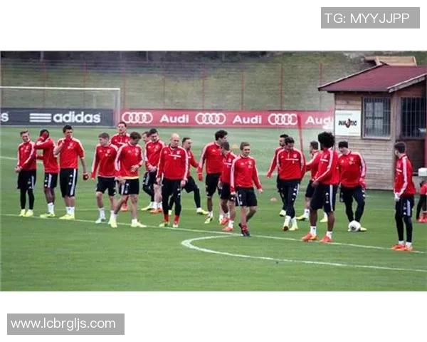 花式足球卖艺的魅力与技巧探秘让我们一起领略这项运动的无限可能